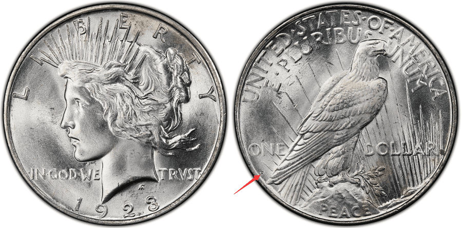 Most Common Features Of 1923 Silver Dollars